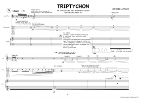 TRIPTYCHON A4 z 3 5 935